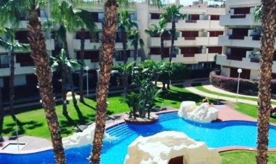 Amplio piso de 3 dormitorios en Orihuela con piscina