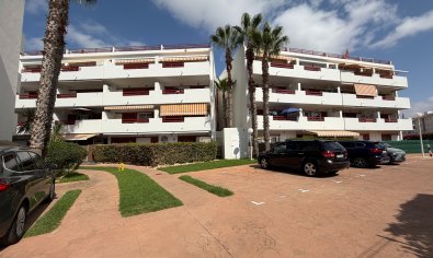 Amplio piso de 3 dormitorios en Orihuela con piscina