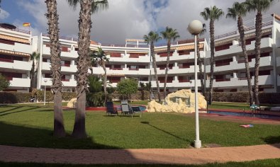 Amplio piso de 3 dormitorios en Orihuela con piscina