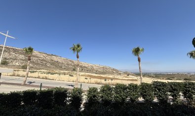 Piso en planta baja en La Finca Golf con jardín privado