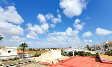 Bungalow renovado al estilo moderno con terraza en la azotea en Torrevieja