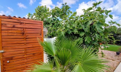Bungalow renovado al estilo moderno con terraza en la azotea en Torrevieja