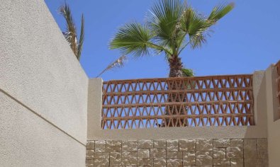 Nieuwbouw Woningen - Villa -
La Marina