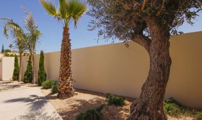 Nieuwbouw Woningen - Villa -
La Marina