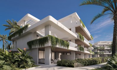 New Build - Apartment - Ground Floor -
Estepona