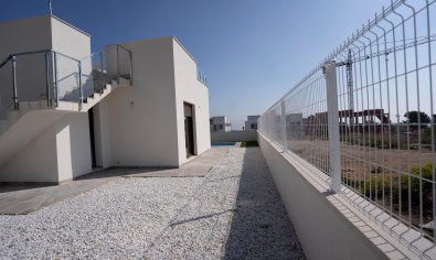 Obra nueva - Villa -
Polop - Alberca