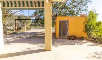 Reventa - Chalet -
Elche - Alzabares Alto