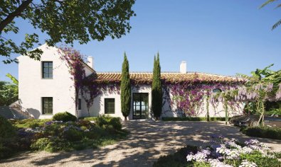 Obra nueva - Villa -
Casares