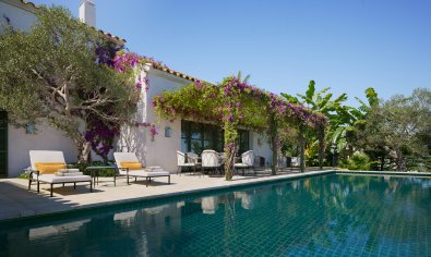 Obra nueva - Villa -
Casares