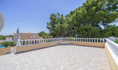 Resale - Villa -
San Miguel de Salinas