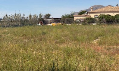 Resale - Finca -
Catral