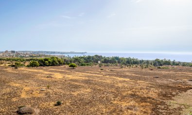 Reventa - Apartamento / piso -
Orihuela Costa - Punta Prima