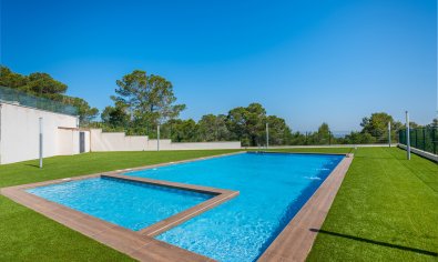 Obra nueva - Bungalow - Solarium -
San Miguel de Salinas