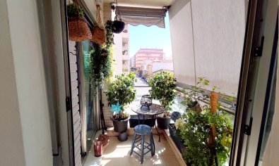 Resale - Apartment -
Torrevieja