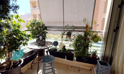 Resale - Apartment -
Torrevieja