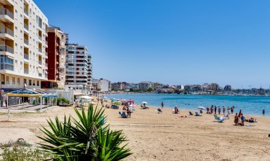 Bestaande bouw - Appartement -
Torrevieja - playa de los naufragos