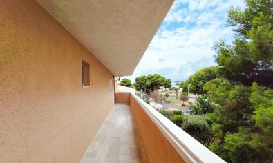 Bestaande bouw - Appartement -
Orihuela Costa - La Zenia