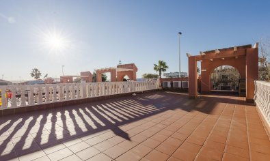 Reventa - Chalet -
Torrevieja - Aguas Nuevas