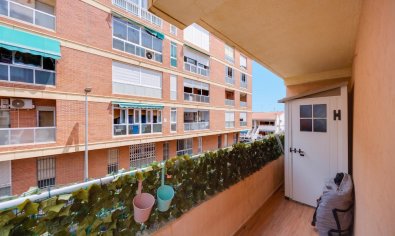Resale - Apartment -
Torrevieja - playa de los naufragos