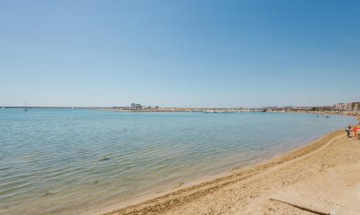Reventa - Apartamento / piso -
Torrevieja - Playa del Acequión