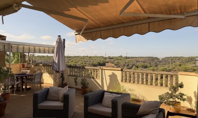 Resale - Villa -
Villamartín - Villamartin