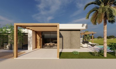 Obra nueva - Villa -
Pilar de la Horadada