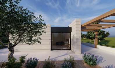 Obra nueva - Villa -
Pilar de la Horadada