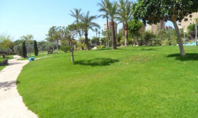 Reventa - Apartamento / piso -
Benidorm - Poniente