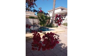 Reventa - Villa -
Benidorm - Poniente