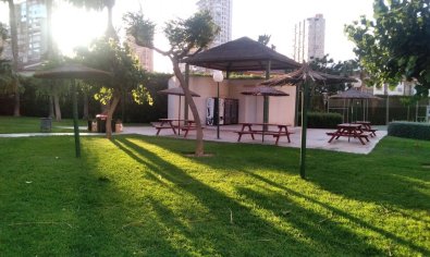 Reventa - Apartamento / piso -
Benidorm - Rincón de Loix