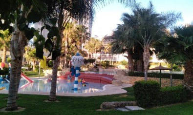 Reventa - Apartamento / piso -
Benidorm - Rincón de Loix