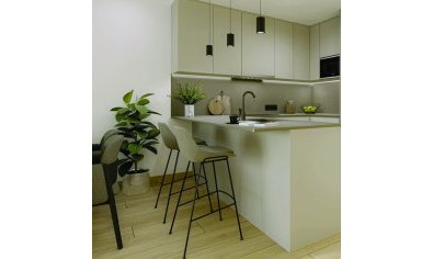 Obra nueva - Ático -
Torrevieja