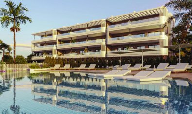 Obra nueva - Ático -
Torrevieja