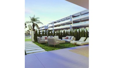 Obra nueva - Ático -
Torrevieja