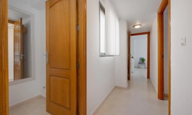 Resale - Penthouse -
Torrevieja