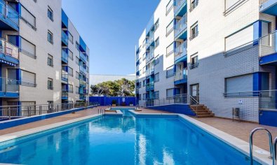Resale - Penthouse -
Torrevieja