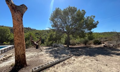 Reventa - Finca -
Torremendo