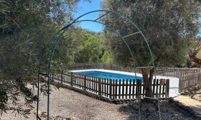Reventa - Finca -
Torremendo