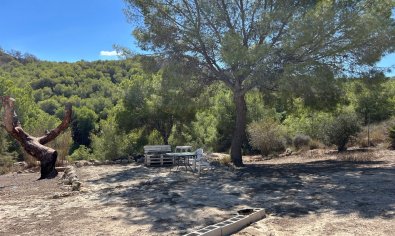Reventa - Finca -
Torremendo