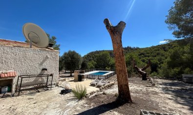 Reventa - Finca -
Torremendo