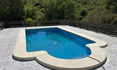 Reventa - Finca -
Torremendo