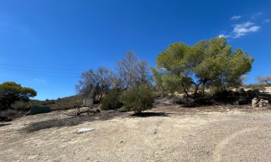 Reventa - Finca -
Torremendo