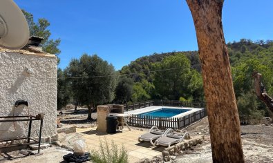 Reventa - Finca -
Torremendo