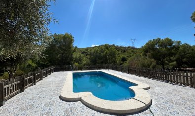 Reventa - Finca -
Torremendo