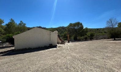 Reventa - Finca -
Torremendo