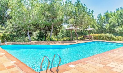 Bestaande bouw - Penthouse -
Orihuela Costa - Las Colinas Golf