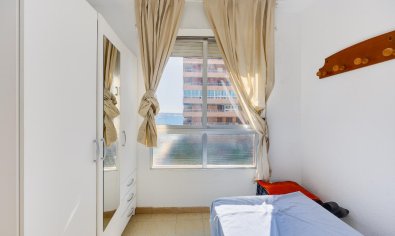 Bestaande bouw - Appartement -
Torrevieja - Playa del Acequión