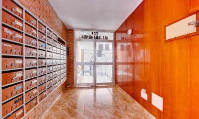 Bestaande bouw - Appartement -
Torrevieja - Playa del Acequión