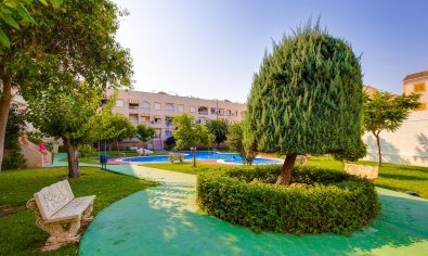 Resale - Penthouse -
Torrevieja - Playa del Acequión