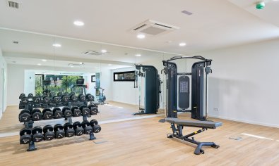 Obra nueva - Ático -
Fuengirola